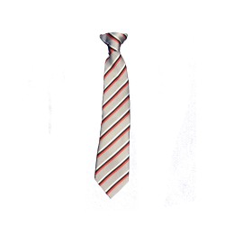 Barnfields Clip On Tie